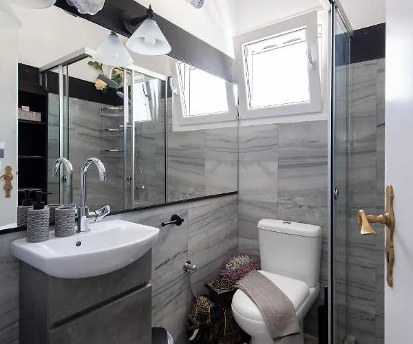 公寓 Ricos Two Bedroom House - Paros *