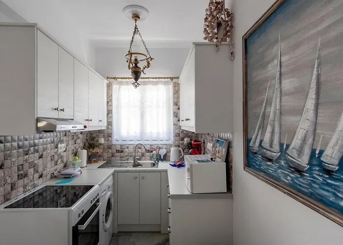 公寓 Ricos Two Bedroom House - Paros 纳乌萨